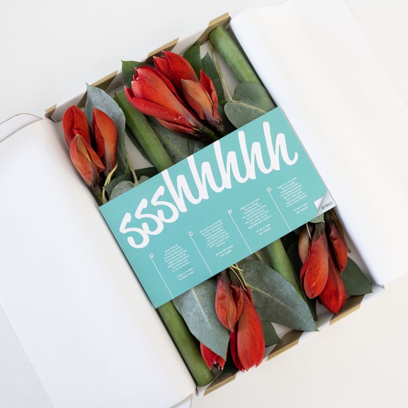 backend-media_library.no_image_found