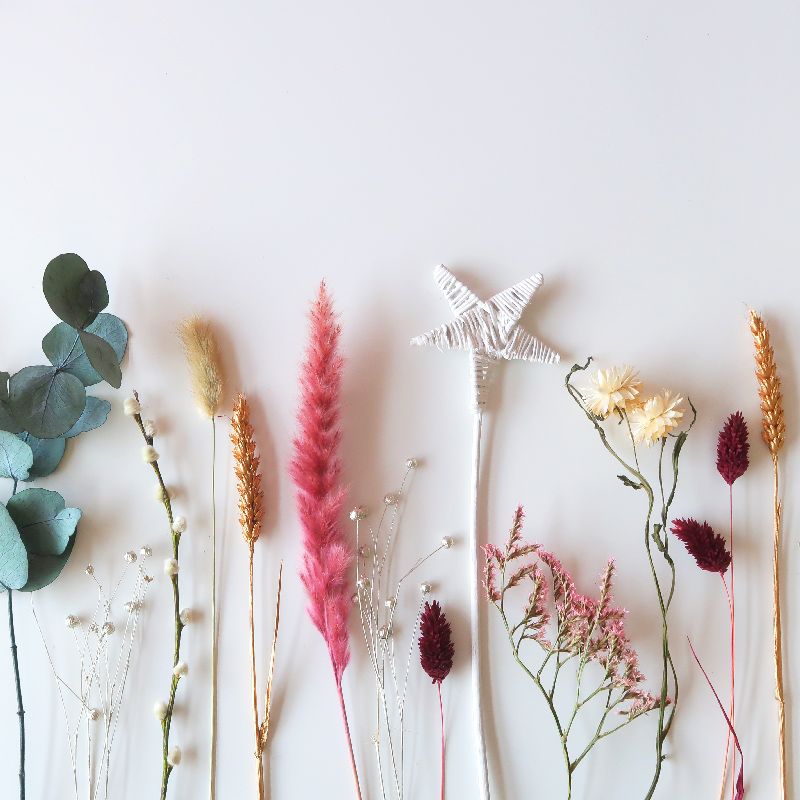 backend-media_library.no_image_found