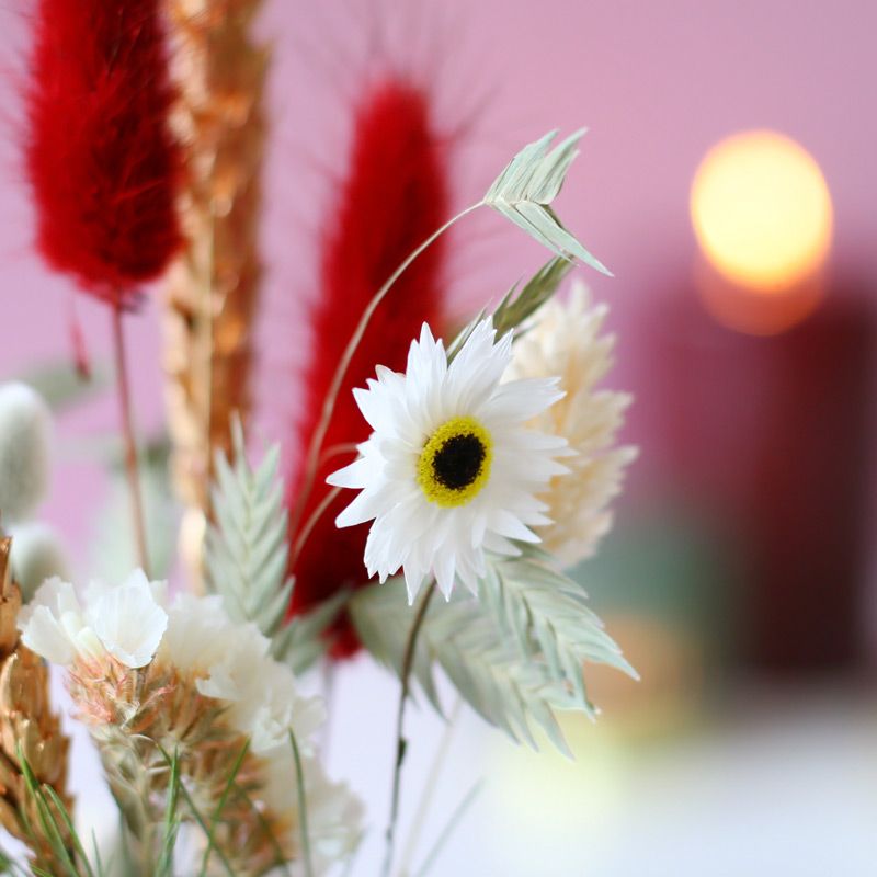 backend-media_library.no_image_found