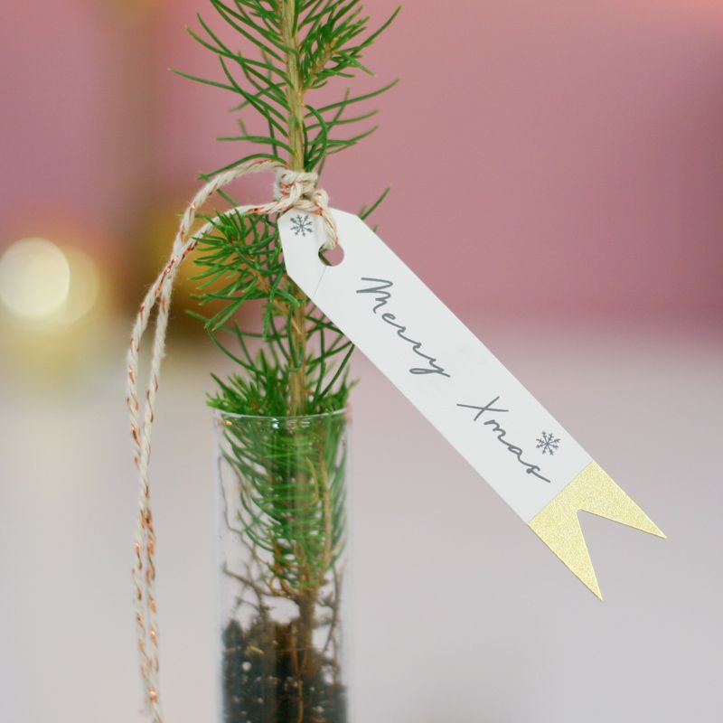 backend-media_library.no_image_found