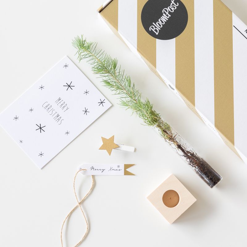 backend-media_library.no_image_found