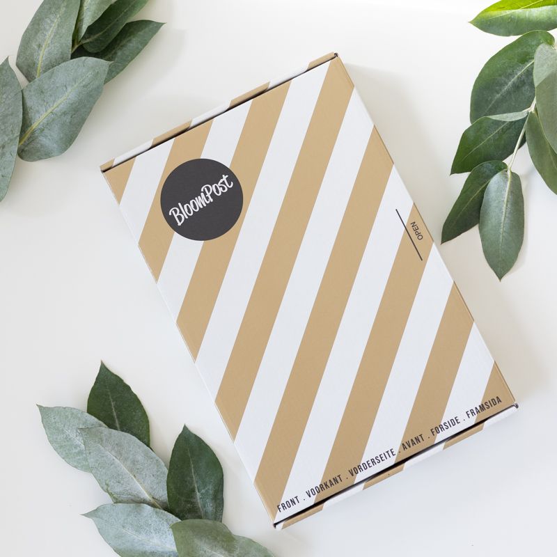 backend-media_library.no_image_found