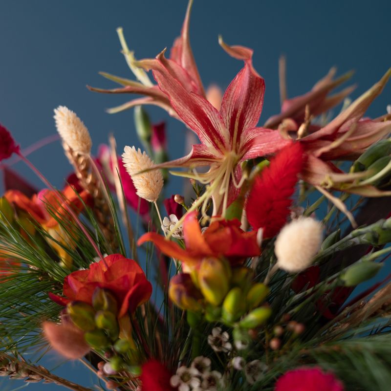 backend-media_library.no_image_found