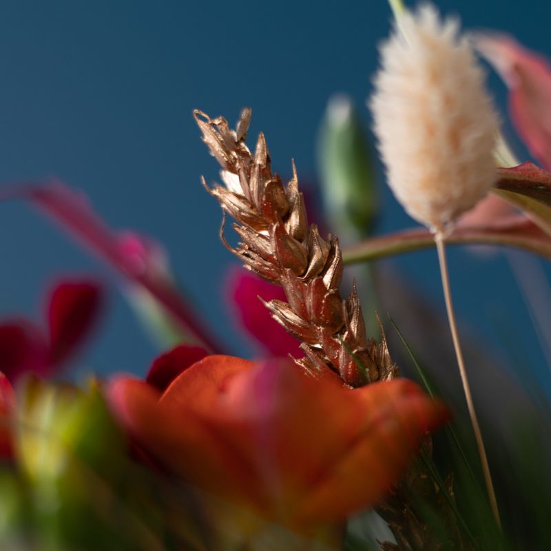 backend-media_library.no_image_found