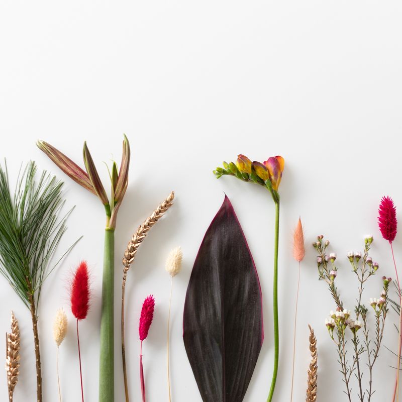 backend-media_library.no_image_found