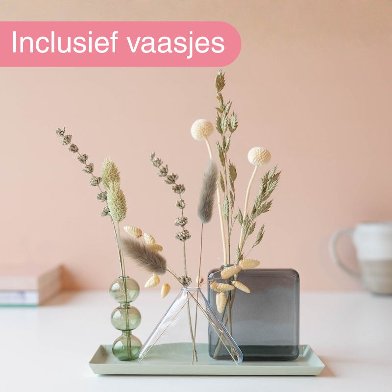 Vaasjes in organische vormen met droogbloemen