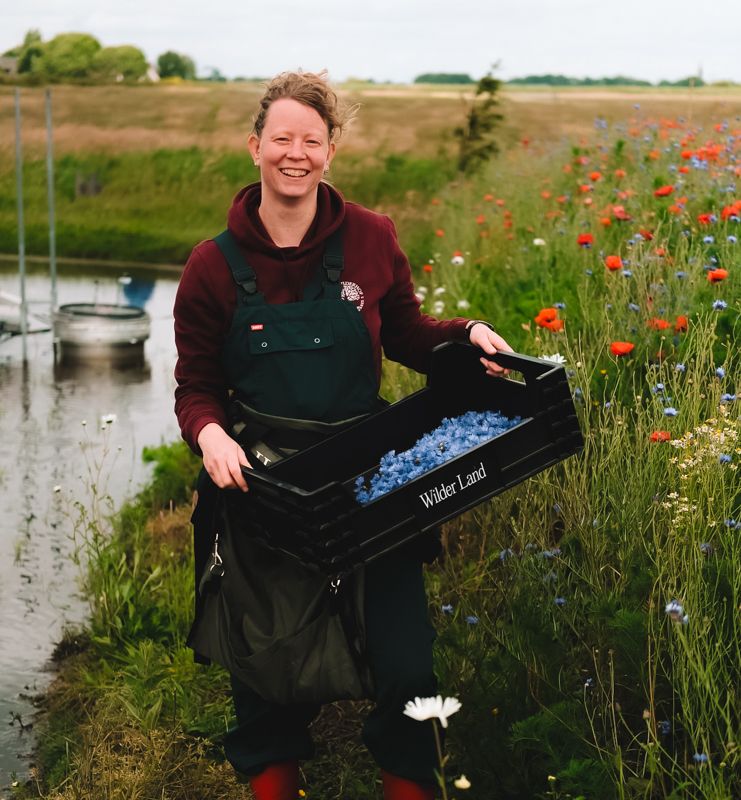 vrouw draagt krat met geplukte bloemen