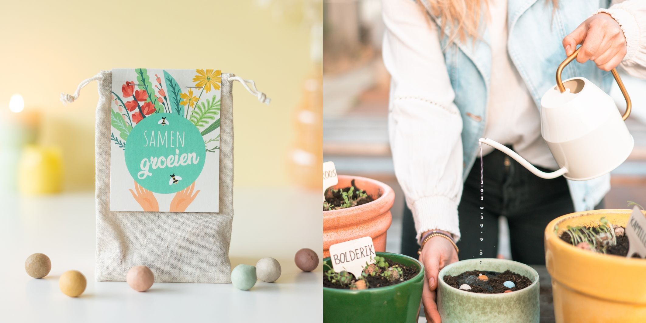 Zaaibommetjes in vrolijke verpakking