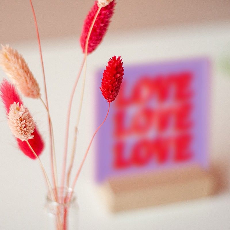 Close-up van roze en beige droogbloemen, met op de achtergrond het paarse tegeltje met "All you need is love love love".