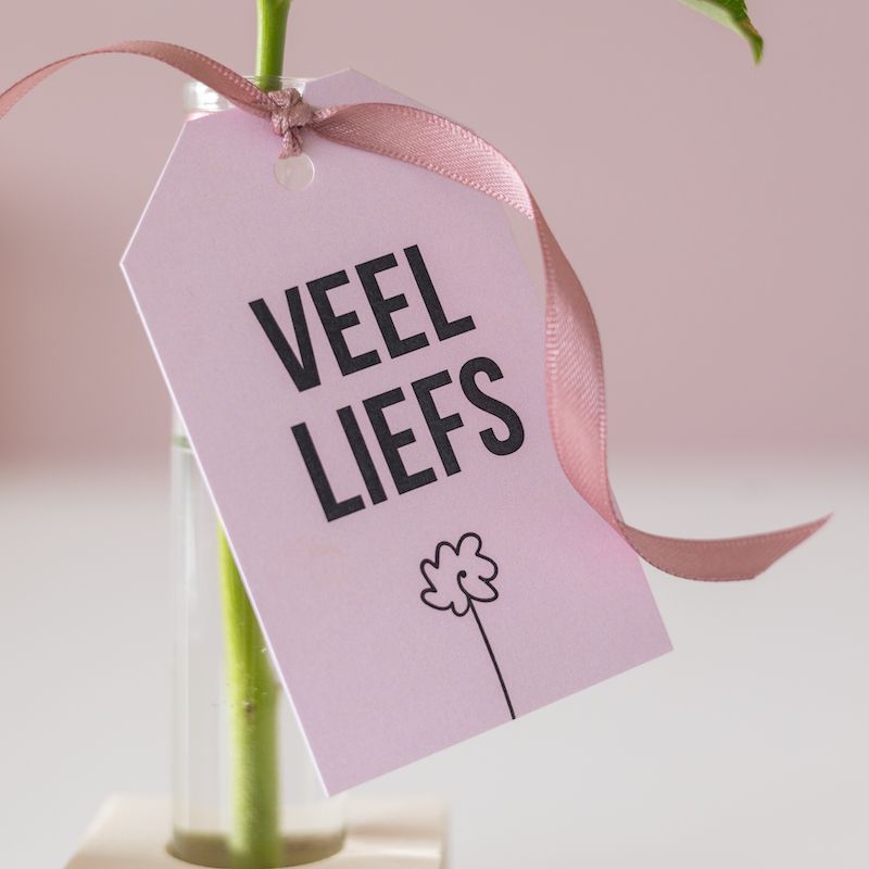 Veel liefs pakketje met een roze roos, roze kaarsje in vaasje en een puur zeezout chocoladereep 