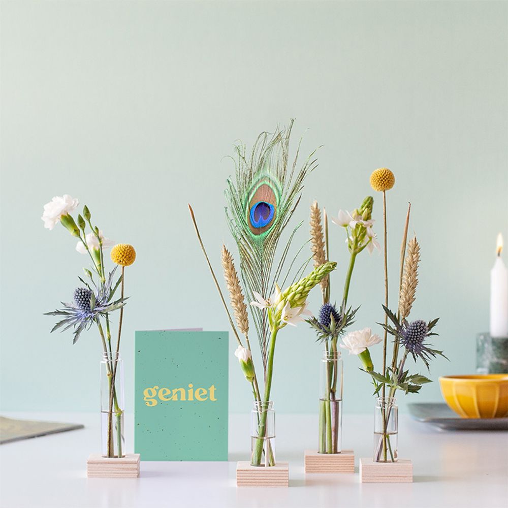 BloomParty Pensioen